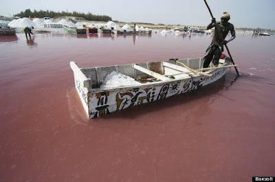 Ροζ λίμνη βαμμένη από βακτήρια - Φωτογραφία 2