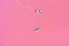 Ροζ λίμνη βαμμένη από βακτήρια