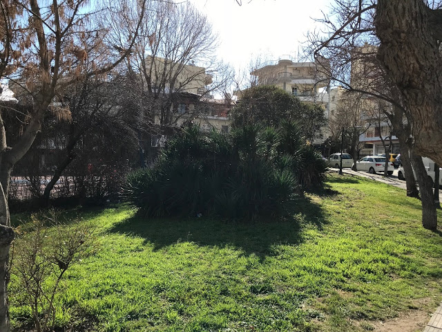 «Λιφτινγκ» σε πάρκα της δυτικής Θεσσαλονίκης - Φωτογραφία 2
