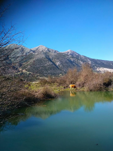 ΚΟΜΠΩΤΗ: Ένας κρυφός παράδεισος στo Φράγμα Αχυρών (ΦΩΤΟ: Σάκης Μπόνιας) - Φωτογραφία 13