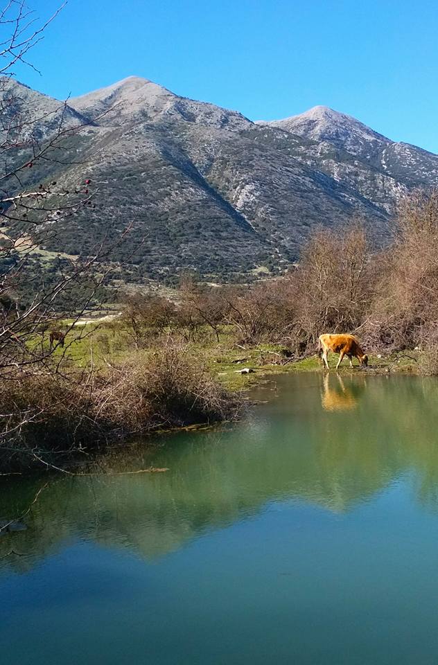 ΚΟΜΠΩΤΗ: Ένας κρυφός παράδεισος στo Φράγμα Αχυρών (ΦΩΤΟ: Σάκης Μπόνιας) - Φωτογραφία 15