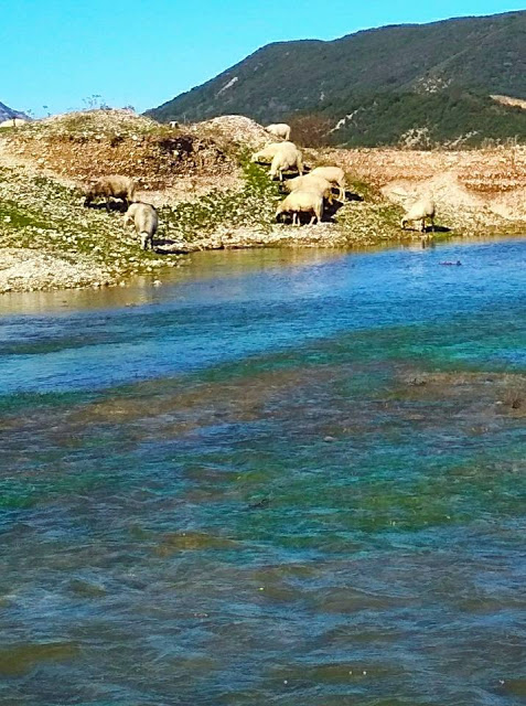 ΚΟΜΠΩΤΗ: Ένας κρυφός παράδεισος στo Φράγμα Αχυρών (ΦΩΤΟ: Σάκης Μπόνιας) - Φωτογραφία 9