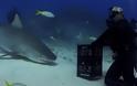 Παίζει με καρχαρία μέσα στον ωκεανό χωρίς προστατευτικό και σοκάρει [video]