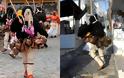 Στη Σκύρο χτυπάει η «καρδιά» του Καρναβαλιού (ΦΩΤΟ & ΒΙΝΤΕΟ) - Φωτογραφία 2