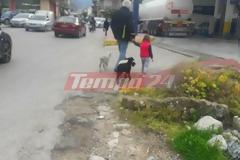 Υπάρχουν και αυτές οι εικόνες ακόμα! Παππούς κάνει βόλτα το εγγονάκι του μαζί με τα... [photos]