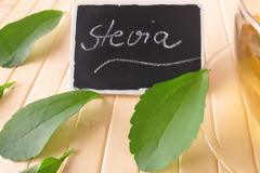 6 πράγματα που πρέπει να ξέρετε για τη στέβια