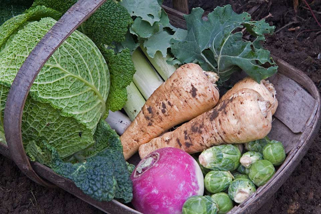 Τα διατροφικά οφέλη των λαχανικών του χειμώνα - Φωτογραφία 1