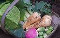 Τα διατροφικά οφέλη των λαχανικών του χειμώνα - Φωτογραφία 1