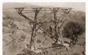 Εναέριος σιδηρόδρομος - Όλη η ιστορία πίσω από το πιο γνωστό παραλιακό σημείο της Λεμεσού - Φωτογραφία 2