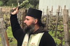 10243 - Σήμερα ευλόγησαν τα αμπέλια τους στο Άγιο Όρος (φωτογραφίες)