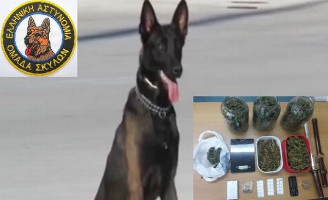 Έμπορο ηρωίνης με προορισμό το Αγρίνιο εντόπισε ο αστυνομικός σκύλος «Ρίκι» - Φωτογραφία 1