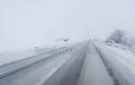 Σφοδρή χιονόπτωση: Μπλόκο στα φορτηγά προς Δομοκό - Με αλυσίδες τα ΙΧ - Φωτογραφία 9