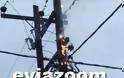 Χαλκίδα: Φωτιά σε κολώνα της ΔΕΗ στη Κάνηθο! (ΦΩΤΟ & ΒΙΝΤΕΟ) - Φωτογραφία 3