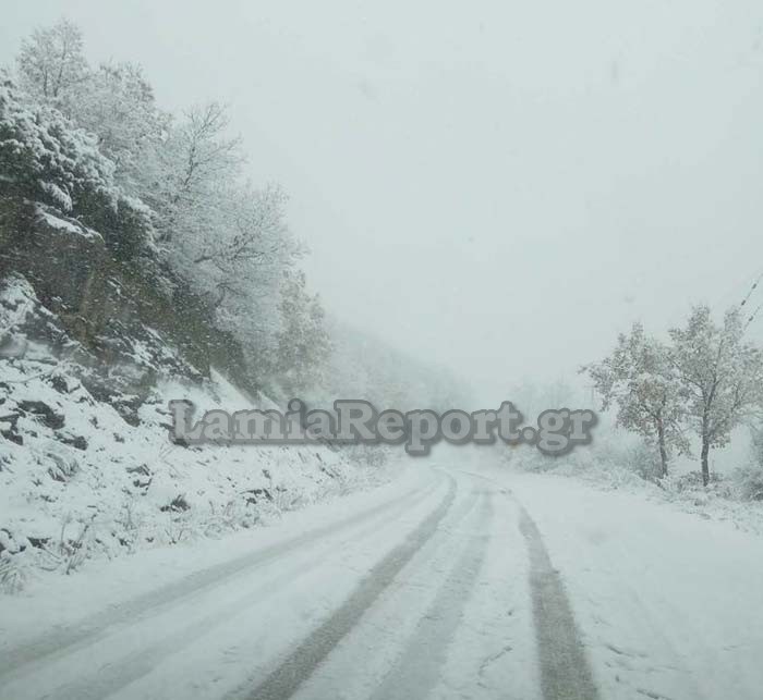Σφοδρή χιονόπτωση σε Φθιώτιδα και Ευρυτανία: Με αλυσίδες τα ΙΧ στον Δομοκό - Φωτογραφία 10