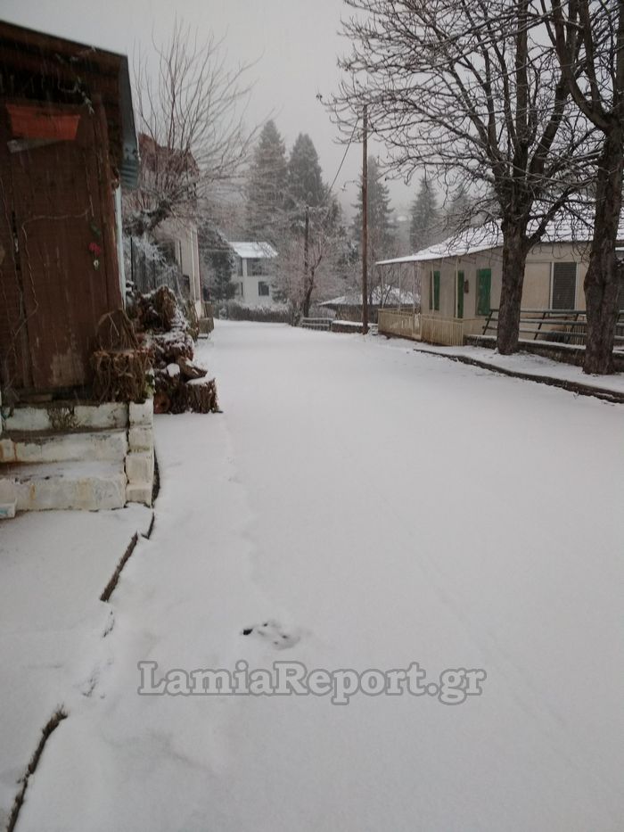 Σφοδρή χιονόπτωση σε Φθιώτιδα και Ευρυτανία: Με αλυσίδες τα ΙΧ στον Δομοκό - Φωτογραφία 11