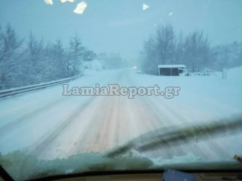 Σφοδρή χιονόπτωση σε Φθιώτιδα και Ευρυτανία: Με αλυσίδες τα ΙΧ στον Δομοκό - Φωτογραφία 2