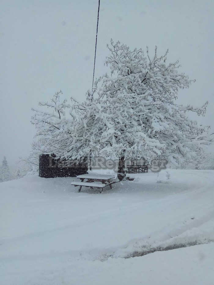 Σφοδρή χιονόπτωση σε Φθιώτιδα και Ευρυτανία: Με αλυσίδες τα ΙΧ στον Δομοκό - Φωτογραφία 7