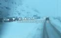Σφοδρή χιονόπτωση σε Φθιώτιδα και Ευρυτανία: Με αλυσίδες τα ΙΧ στον Δομοκό - Φωτογραφία 1