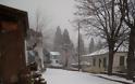 Σφοδρή χιονόπτωση σε Φθιώτιδα και Ευρυτανία: Με αλυσίδες τα ΙΧ στον Δομοκό - Φωτογραφία 11