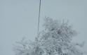 Σφοδρή χιονόπτωση σε Φθιώτιδα και Ευρυτανία: Με αλυσίδες τα ΙΧ στον Δομοκό - Φωτογραφία 7
