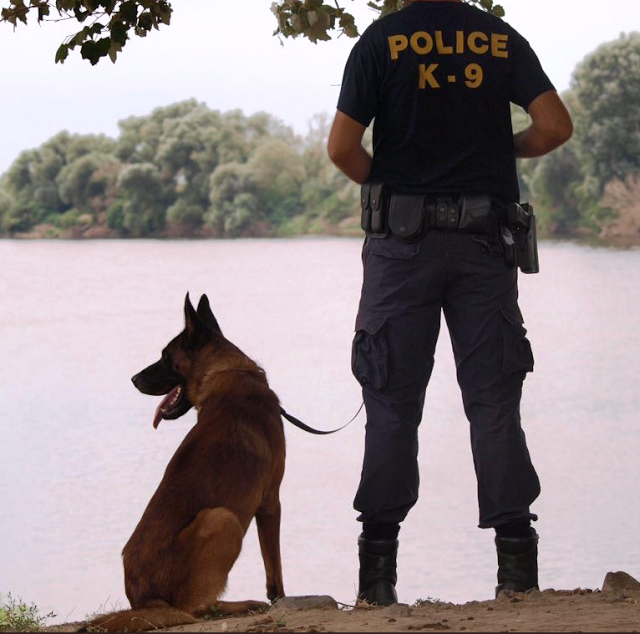 Τί έκανε τον Satan ξεχωριστό - Γιατί οι περισσότεροι Αστυνομικοί Σκύλοι είναι από δωρεές (ΒΙΝΤΕΟ) - Φωτογραφία 1