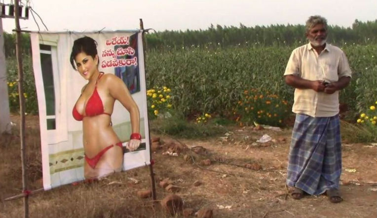 Aγρότης έβαλε αφίσα με πορνοστάρ στο χωράφι του –Δείτε το λόγο - Φωτογραφία 2