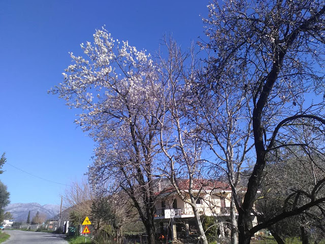 Ο ΑΣΤΑΚΟΣ σήμερα μέσα απο εικόνες (ΦΩΤΟ: Τζένη Παπαδημητρίου) - Φωτογραφία 42