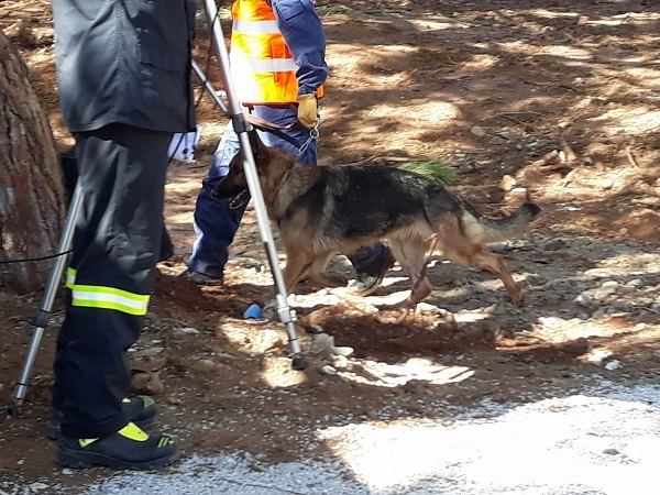 Πραγματική κατεδάφιση κτιρίου στην Κρήτη για να γίνει άσκηση σεισμού - Φωτογραφία 4