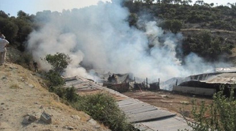 Κάηκαν εκατοντάδες χοίροι σε εκτροφείο στα Τρίκαλα - Φωτογραφία 1