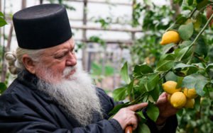 Η νηστίσιμη μαγειρική του Αγίου Όρους - Πληθωρική, πολυσυλλεκτική, λιτή και με ξεκάθαρη μεσογειακή ταυτότητα - Φωτογραφία 4