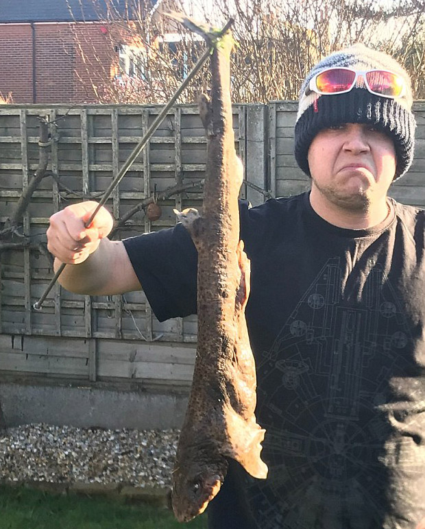Αγγλία: Άνδρας βρήκε καρχαρία...στον κήπο του - Φωτογραφία 3