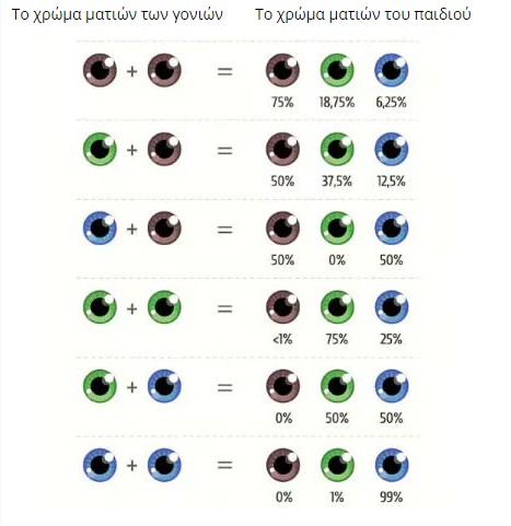 Ποιο θα είναι το χρώμα των ματιών του μωρού σας; (πίνακας) - Φωτογραφία 2