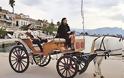 Η Βρισηίδα Ανδριώτου σε ρόλο... καροτσέρισσας οδήγησε άμαξα με άλογο στο Ναύπλιο #survivorGR #grxpress #gossip #celebritiesnews