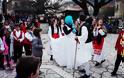 Πολύς κόσμος στο καρναβάλι και στο βλάχικο γάμο στο ΜΟΝΑΣΤΗΡΑΚΙ Βόνιτσας (ΠΟΛΛΕΣ ΦΩΤΟ) - Φωτογραφία 17
