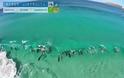 Drone κατέγραψε δελφίνια που σερφάρουν πάνω στα κύματα [video]
