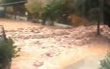 Έντονη βροχόπτωση στα Σφακιά της Κρήτης: Πλημμύρισαν σπίτια - Έκλεισαν δρόμοι - Φωτογραφία 3