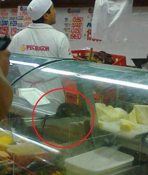 Αγοράζετε συχνά τυρί; Καλά, δείτε αυτή την εικόνα και τα λέμε... - Φωτογραφία 2