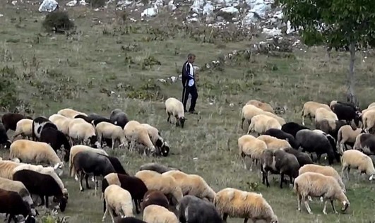 Σοκαριστική μαρτυρία κτηνοτρόφου στην Εύβοια: Ήρθα πρόσωπο με πρόσωπο με το Διάβολο - Φωτογραφία 1