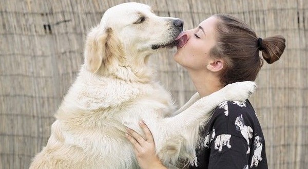 Έρευνα: Οι γυναίκες καταλαβαίνουν καλύτερα τι θέλει ένας σκύλος - Φωτογραφία 1