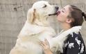 Έρευνα: Οι γυναίκες καταλαβαίνουν καλύτερα τι θέλει ένας σκύλος