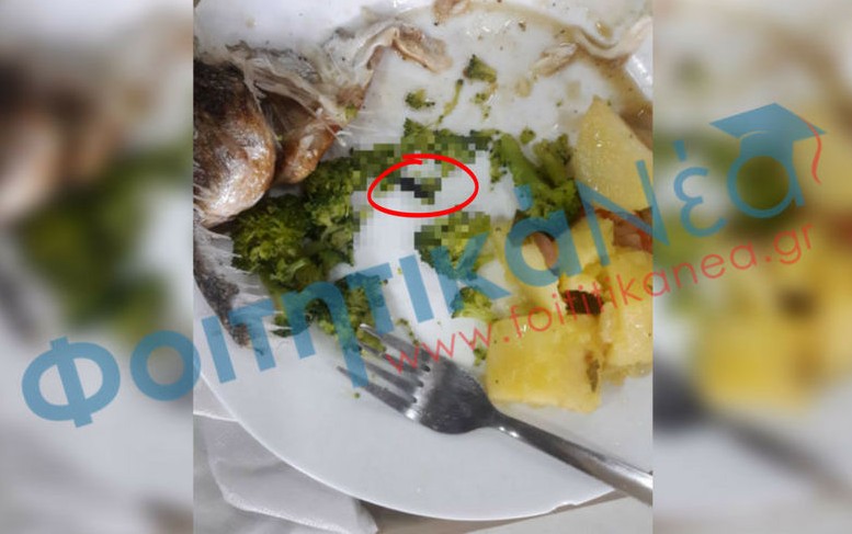 Πανεπιστήμιο Πατρών: Έπαθε ΣΟΚ ο φοιτητής - Δείτε τι βρήκε μέσα στο φαγητό της Εστίας - Φωτογραφία 1