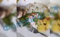 Πανεπιστήμιο Πατρών: Έπαθε ΣΟΚ ο φοιτητής - Δείτε τι βρήκε μέσα στο φαγητό της Εστίας - Φωτογραφία 2