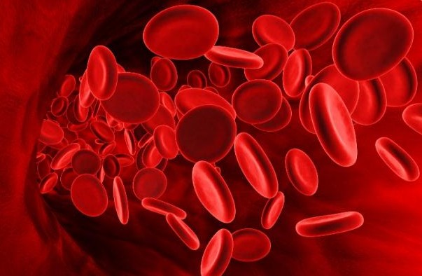 Προσοχή στα πεσμένα ερυθρά αιμοσφαίρια: Τι θα νιώσετε – Τι να φάτε για ν’ ανέβουν - Φωτογραφία 1