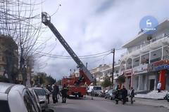 Επιχείρηση γατάκι για Π.Υ και Τροχαία στη Ρόδο
