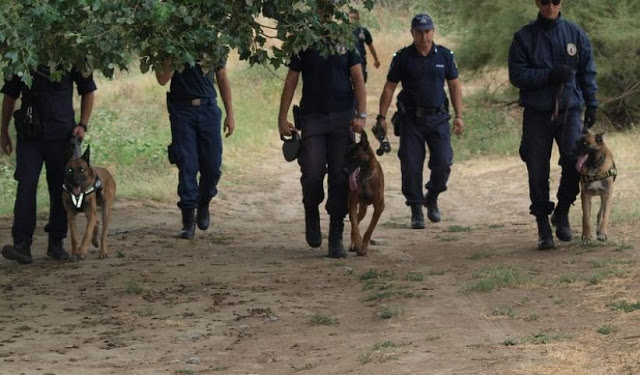 Αναβρασμός στο Τμήμα Σκύλων Ελληνικής Αστυνομίας - Φωτογραφία 1