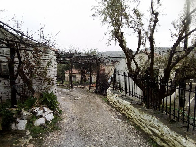 Βροχερές καλημέρες από το χωριό ΒΛΥΖΙΑΝΑ - Φωτογραφία 16