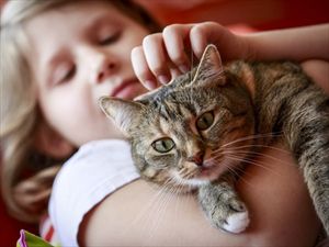 Οι γάτες (όχι οι σκύλοι) σώζουν τα παιδιά από άσθμα - Φωτογραφία 1