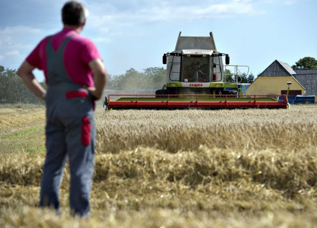 Αγρότες: Πλαφόν 20.000 ευρώ στις επιδοτήσεις - Φωτογραφία 1