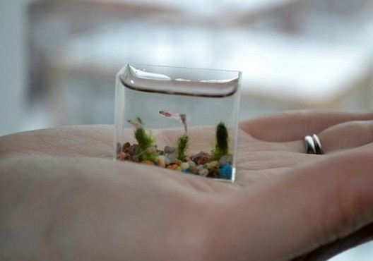 Το μικρότερο ενυδρείο στον κόσμο... [photo] - Φωτογραφία 3