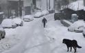 Μάχη με τα χιόνια σε όλη την Ελλάδα: Πού απαγορεύεται η κυκλοφορία και πού χρειάζονται αλυσίδες